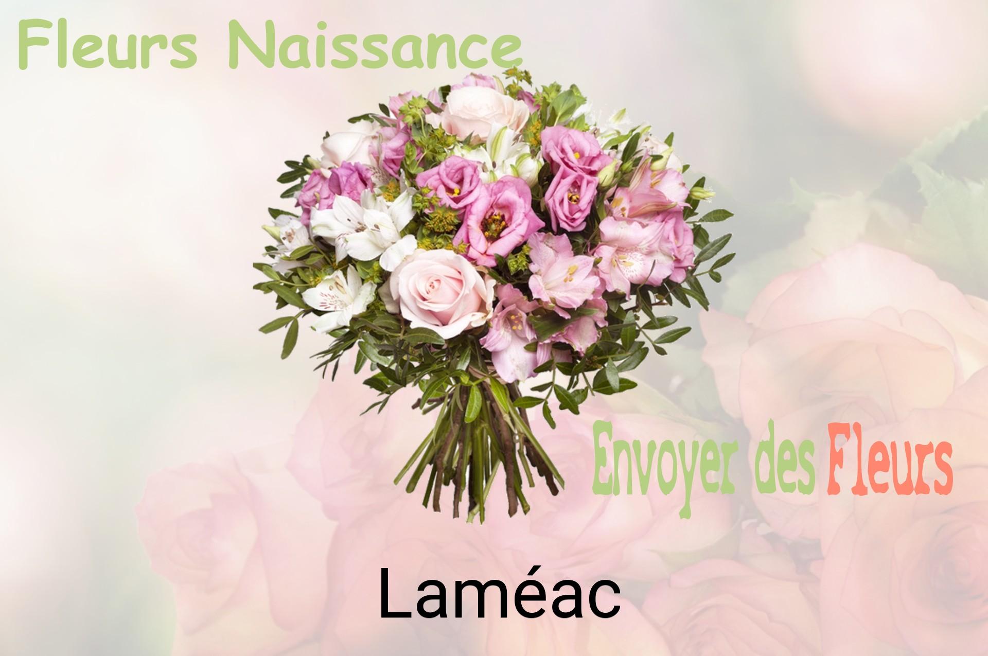 Bouquet de fleurs de naissance livré à Laméac