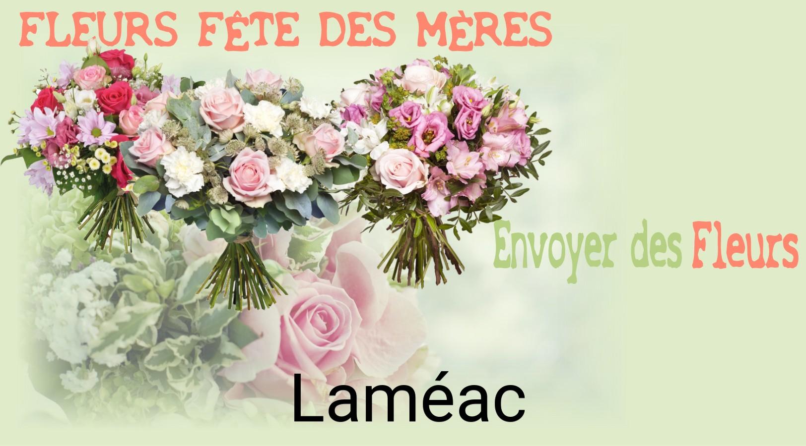 Bouquet de Fête des Mères livré à Laméac